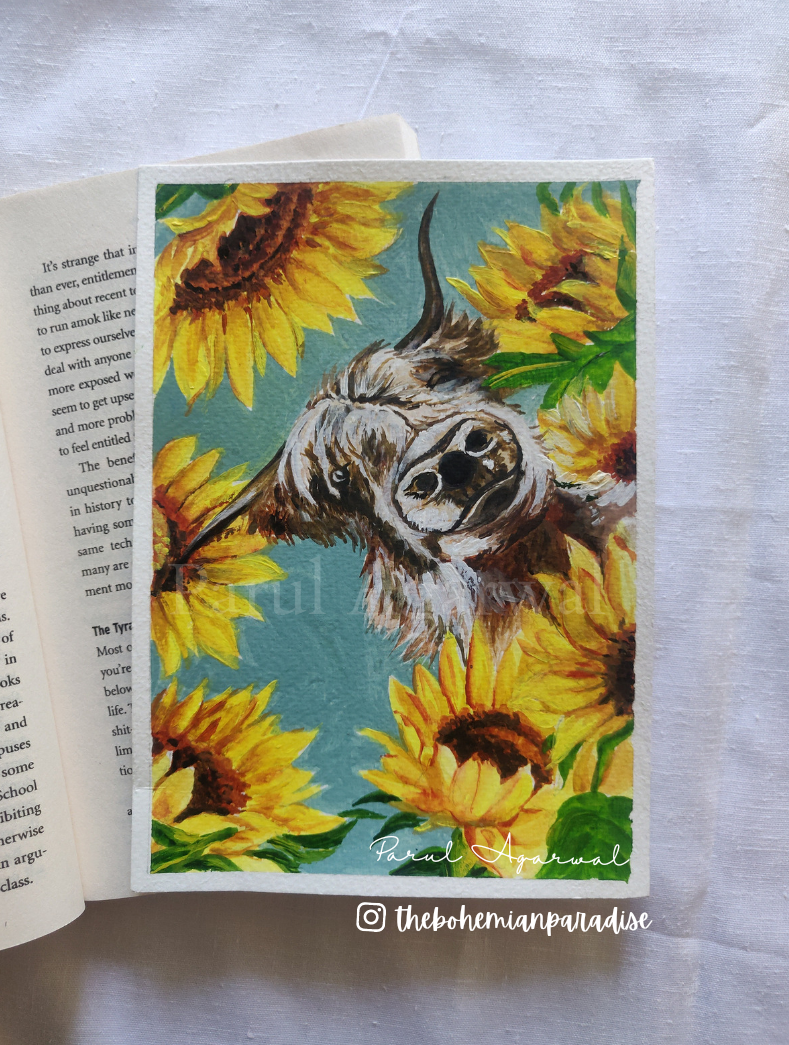Highland Cow and Sunflowers